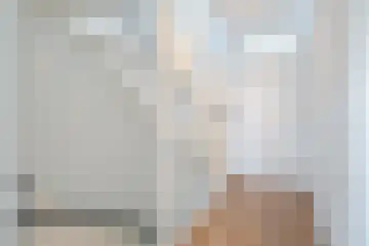 Alver 104 Papendrecht thumbnail 13
