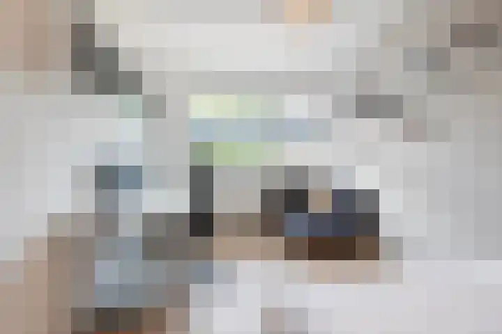 Alver 104 Papendrecht thumbnail 17