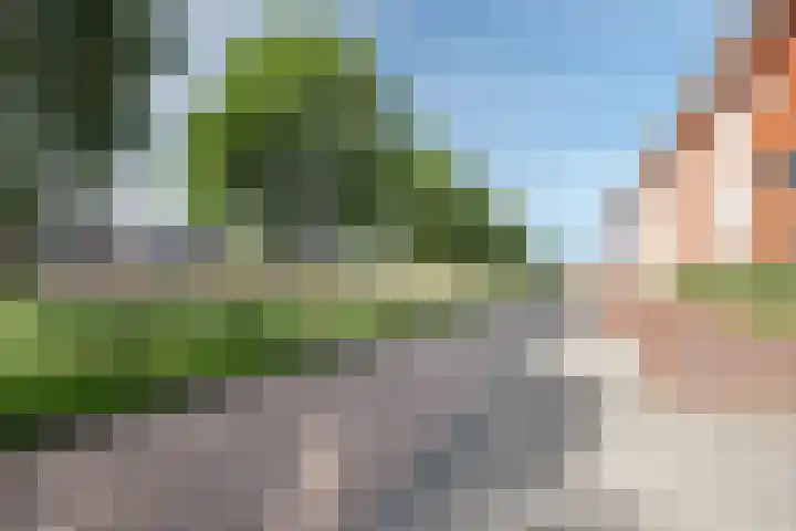 Alver 104 Papendrecht thumbnail 35