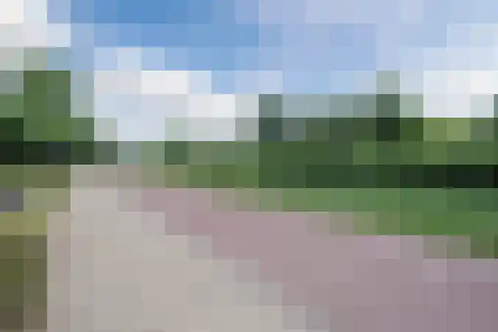 Alver 104 Papendrecht thumbnail 37