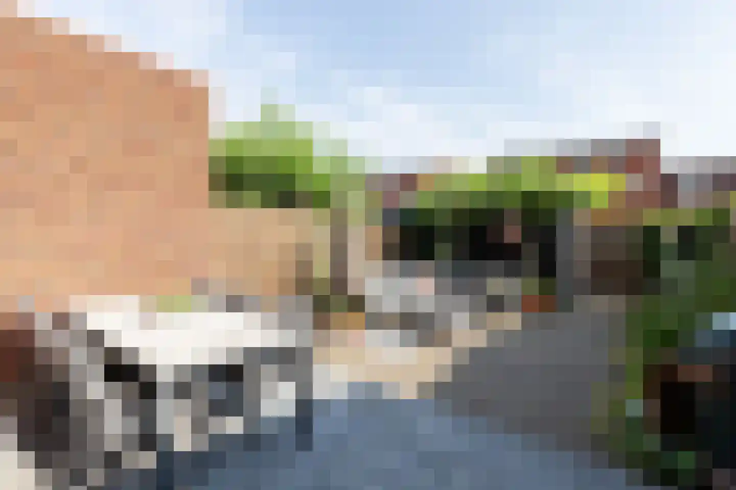 Alver 106 Papendrecht thumbnail 26