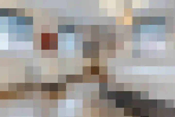 Alver 108 Papendrecht thumbnail 14