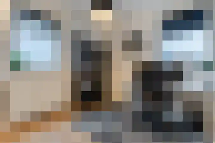 Alver 108 Papendrecht thumbnail 30