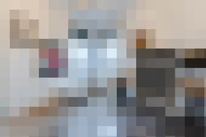 Alver 108 Papendrecht thumbnail 32