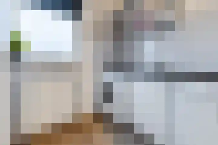 Alver 108 Papendrecht thumbnail 34