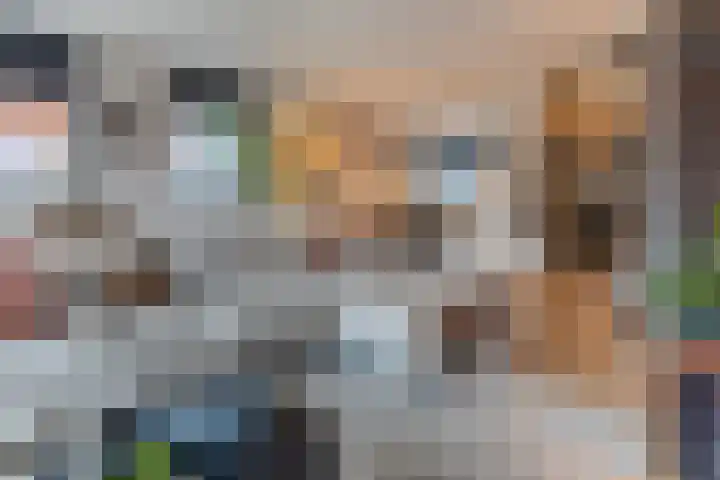 Alver 108 Papendrecht thumbnail 4