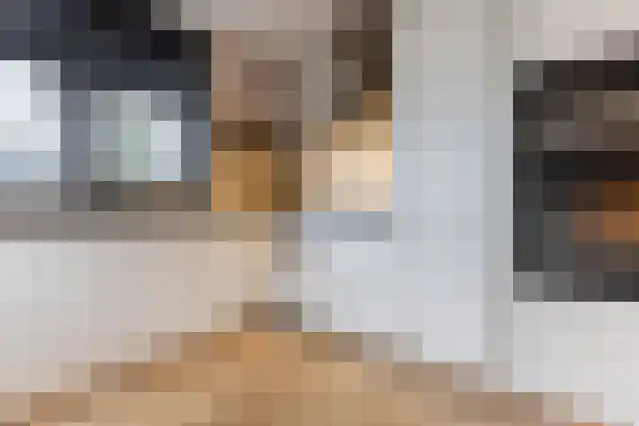 Alver 108 Papendrecht thumbnail 8