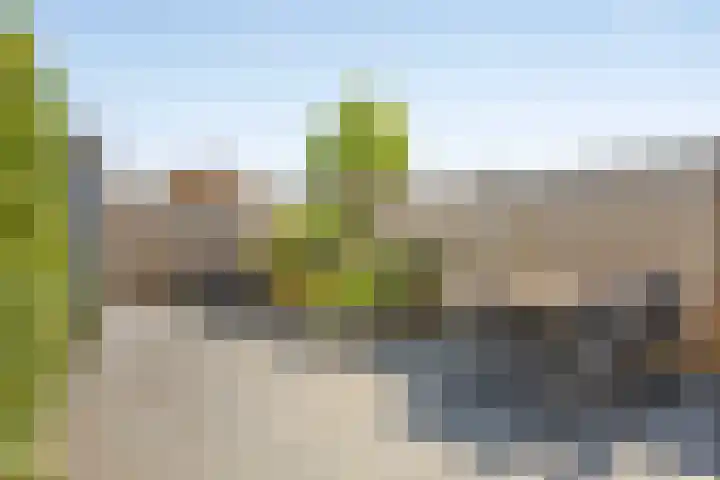 Alver 13 Bodegraven thumbnail 10