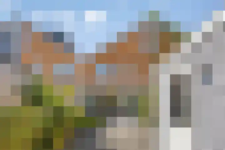 Alver 13 Bodegraven thumbnail 12