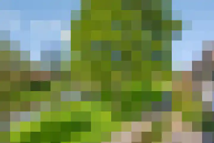 Alver 13 Bodegraven thumbnail 21