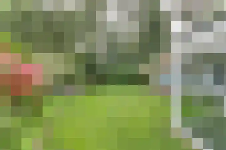 Alver 13 Bodegraven thumbnail 23