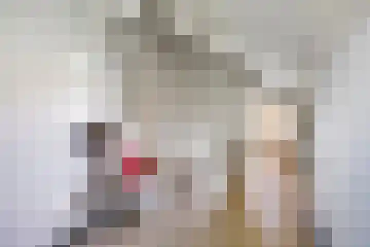 Alver 13 Bodegraven thumbnail 30