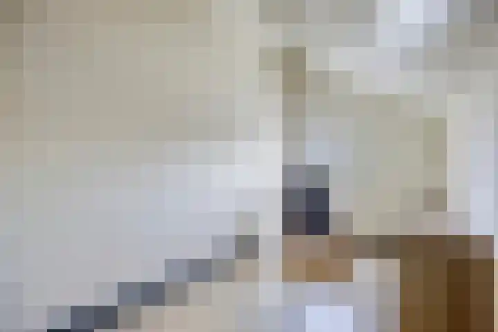 Alver 13 Bodegraven thumbnail 32