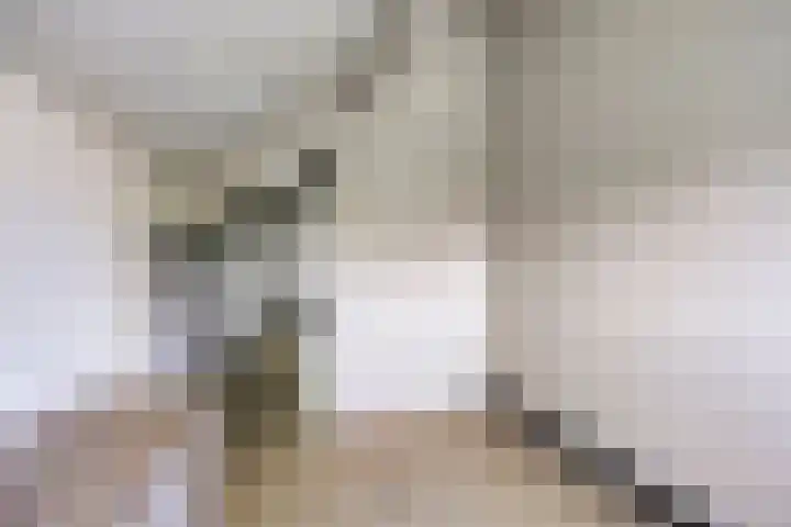 Alver 13 Bodegraven thumbnail 33