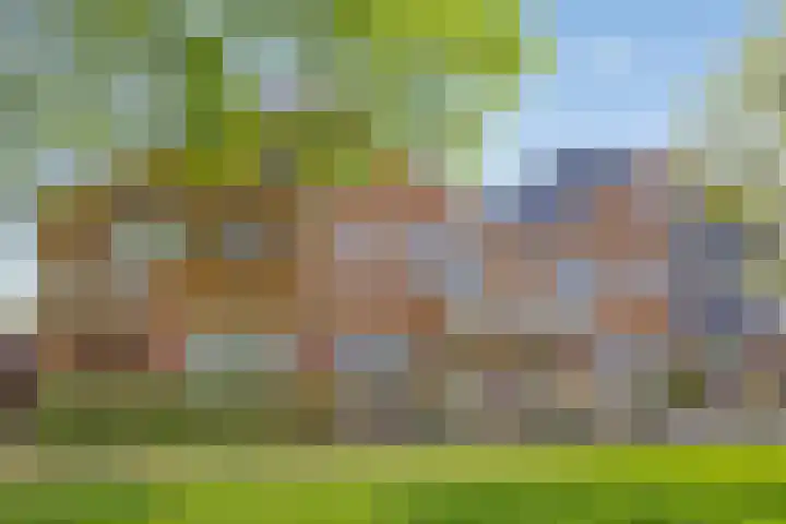 Alver 13 Bodegraven thumbnail 34