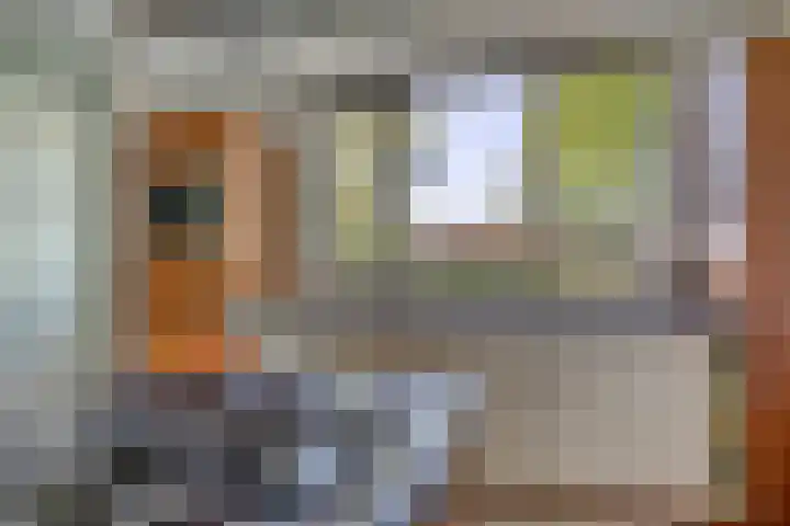 Alver 13 Bodegraven thumbnail 6