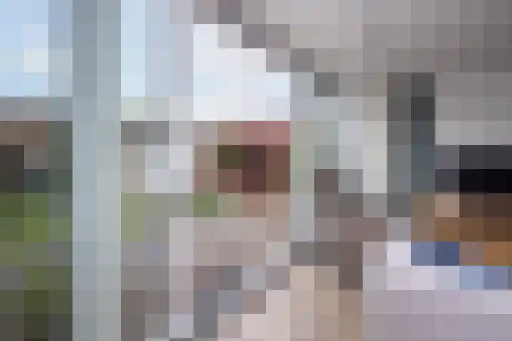 Alver 15 Avenhorn thumbnail 11