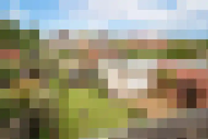 Alver 15 Avenhorn thumbnail 26