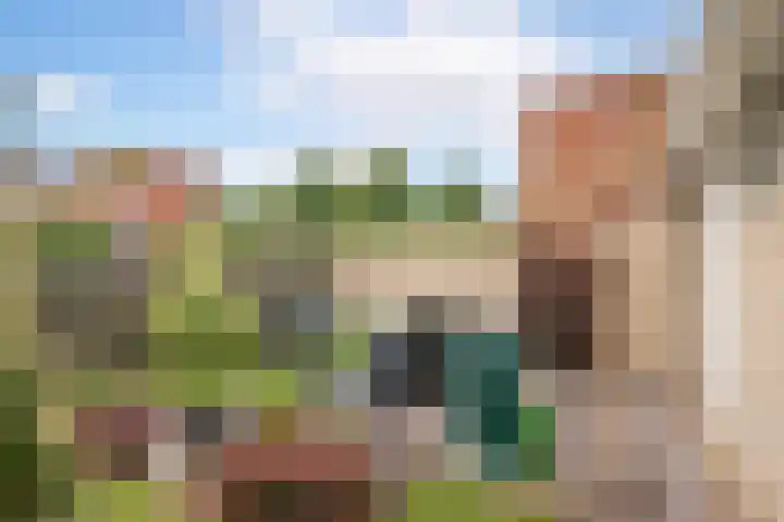 Alver 15 Avenhorn thumbnail 38