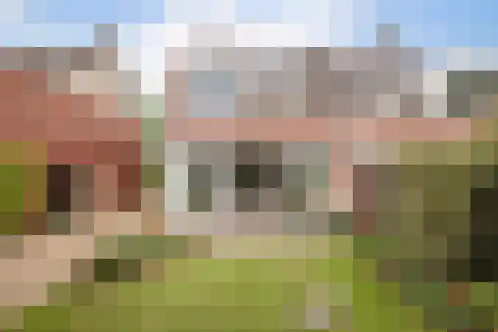 Alver 15 Avenhorn thumbnail 40