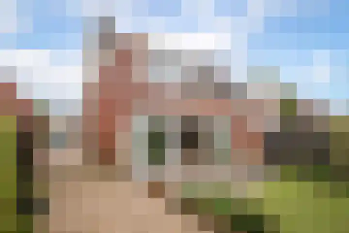 Alver 15 Avenhorn thumbnail 41