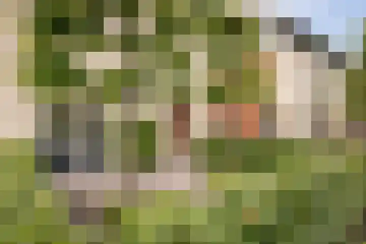 Alver 15 Avenhorn thumbnail 44