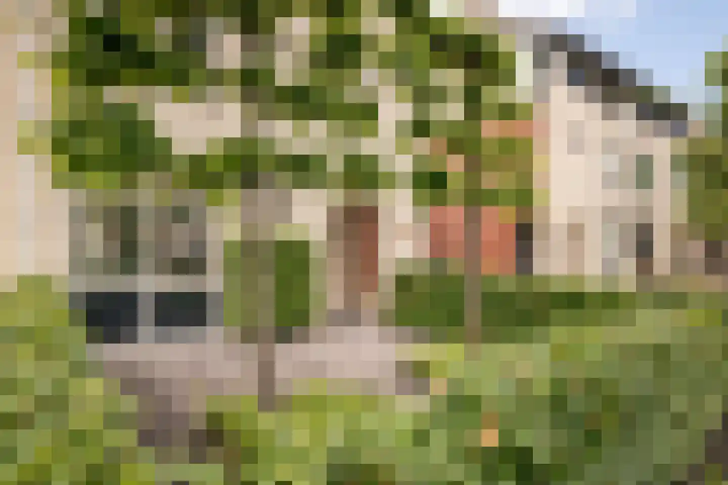 Alver 15 Avenhorn thumbnail 44