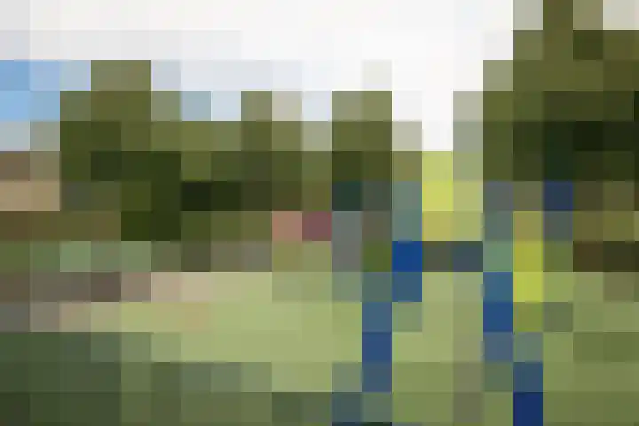 Alver 15 Avenhorn thumbnail 46