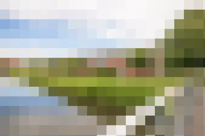 Alver 15 Avenhorn thumbnail 47