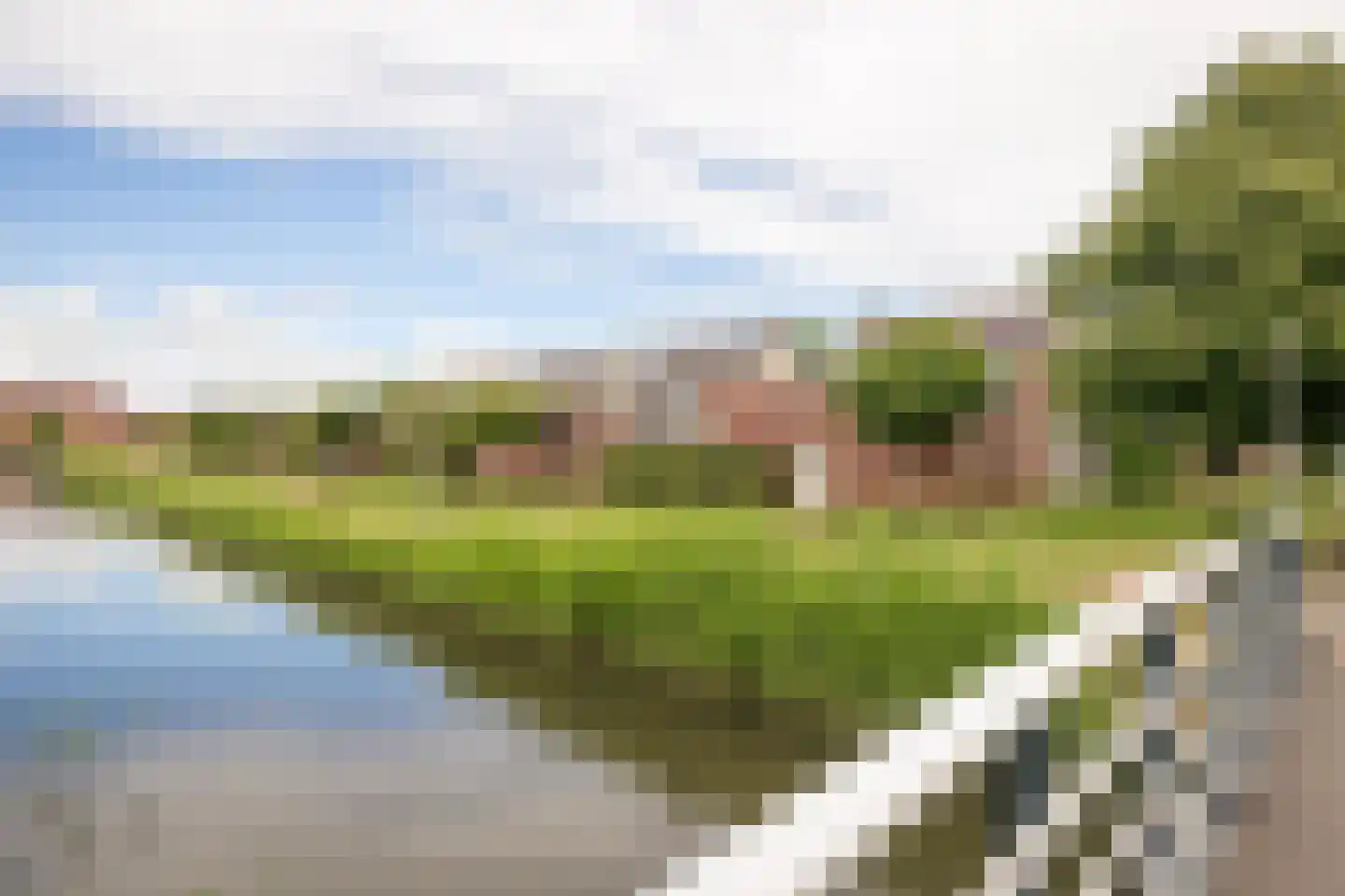 Alver 15 Avenhorn thumbnail 47