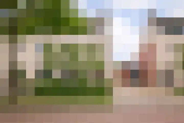 Alver 15 Avenhorn thumbnail 5
