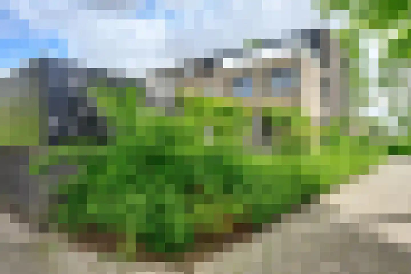 Alver 16 Papendrecht thumbnail 33