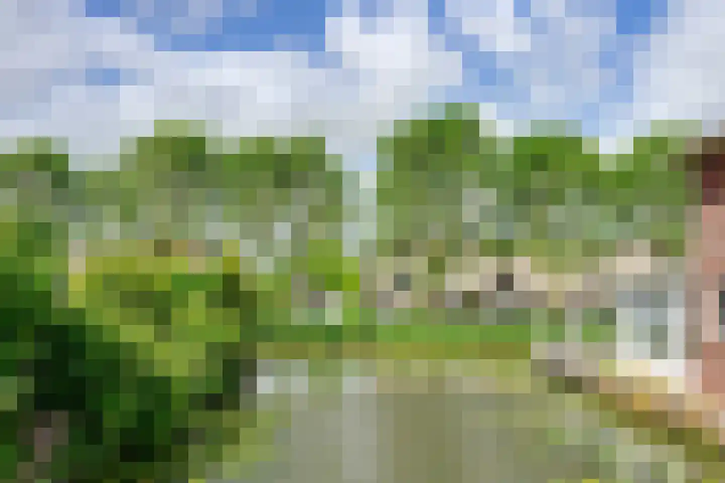 Alver 16 Papendrecht thumbnail 37