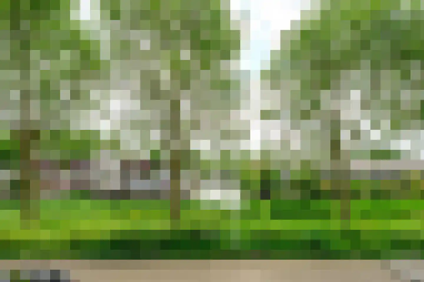 Alver 16 Papendrecht thumbnail 38