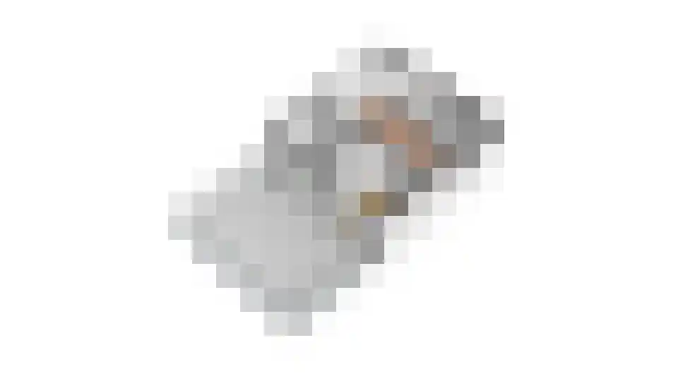 Alver 16 Papendrecht thumbnail 47