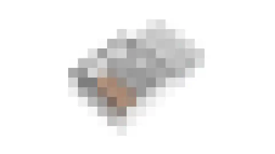 Alver 16 Papendrecht thumbnail 48