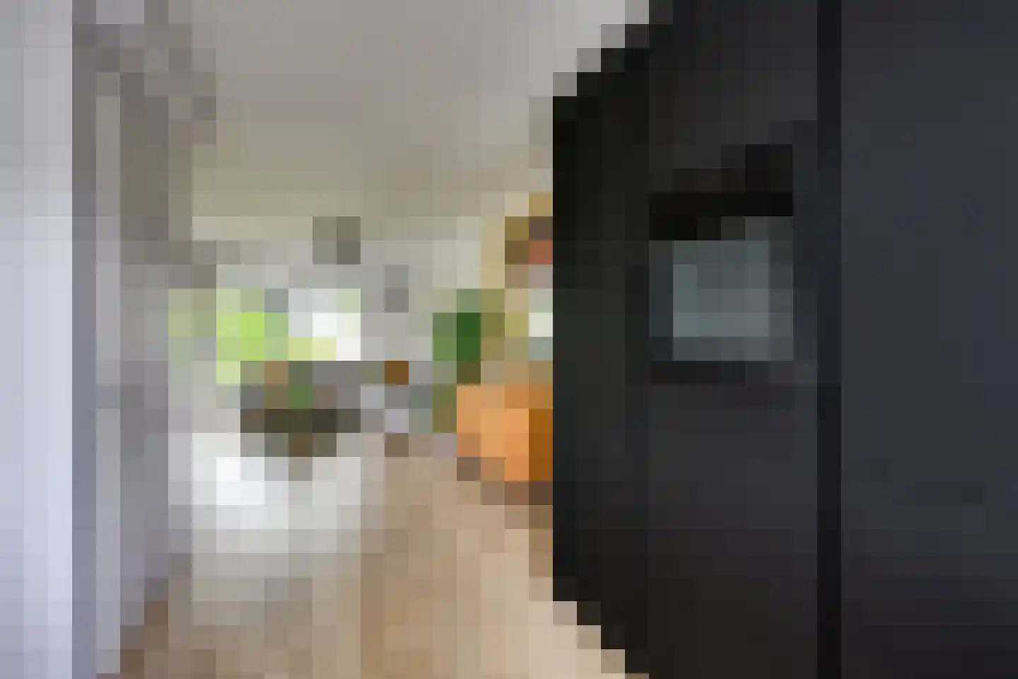 Alver 16 Papendrecht thumbnail 8