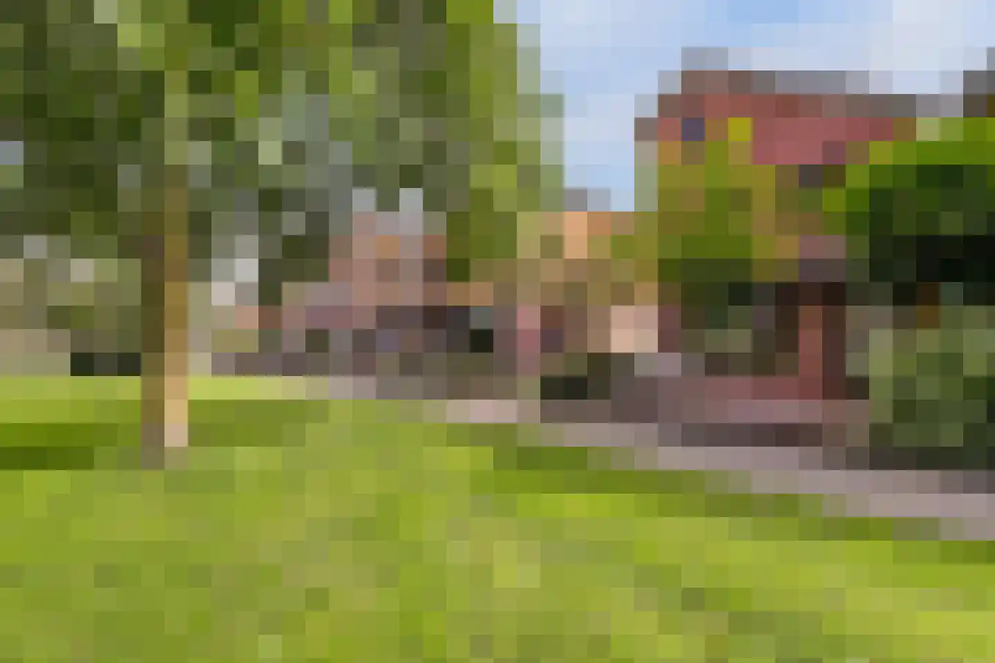 Alver 25 Bodegraven thumbnail 10