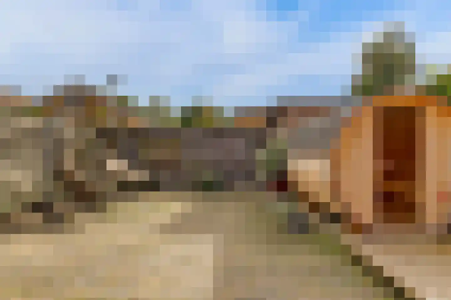 Alver 25 Bodegraven thumbnail 21