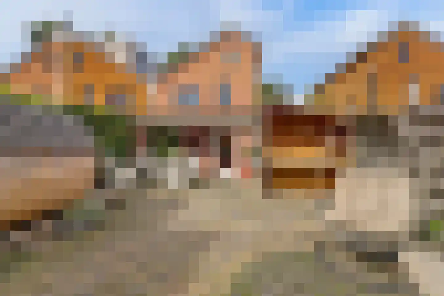 Alver 25 Bodegraven thumbnail 23