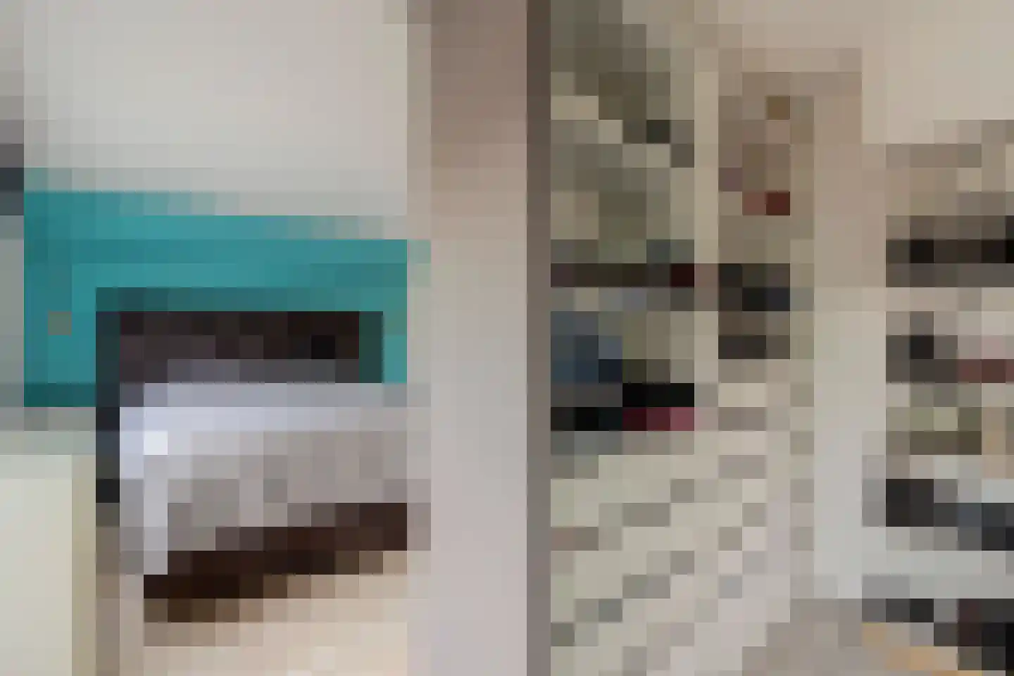 Alver 25 Bodegraven thumbnail 28
