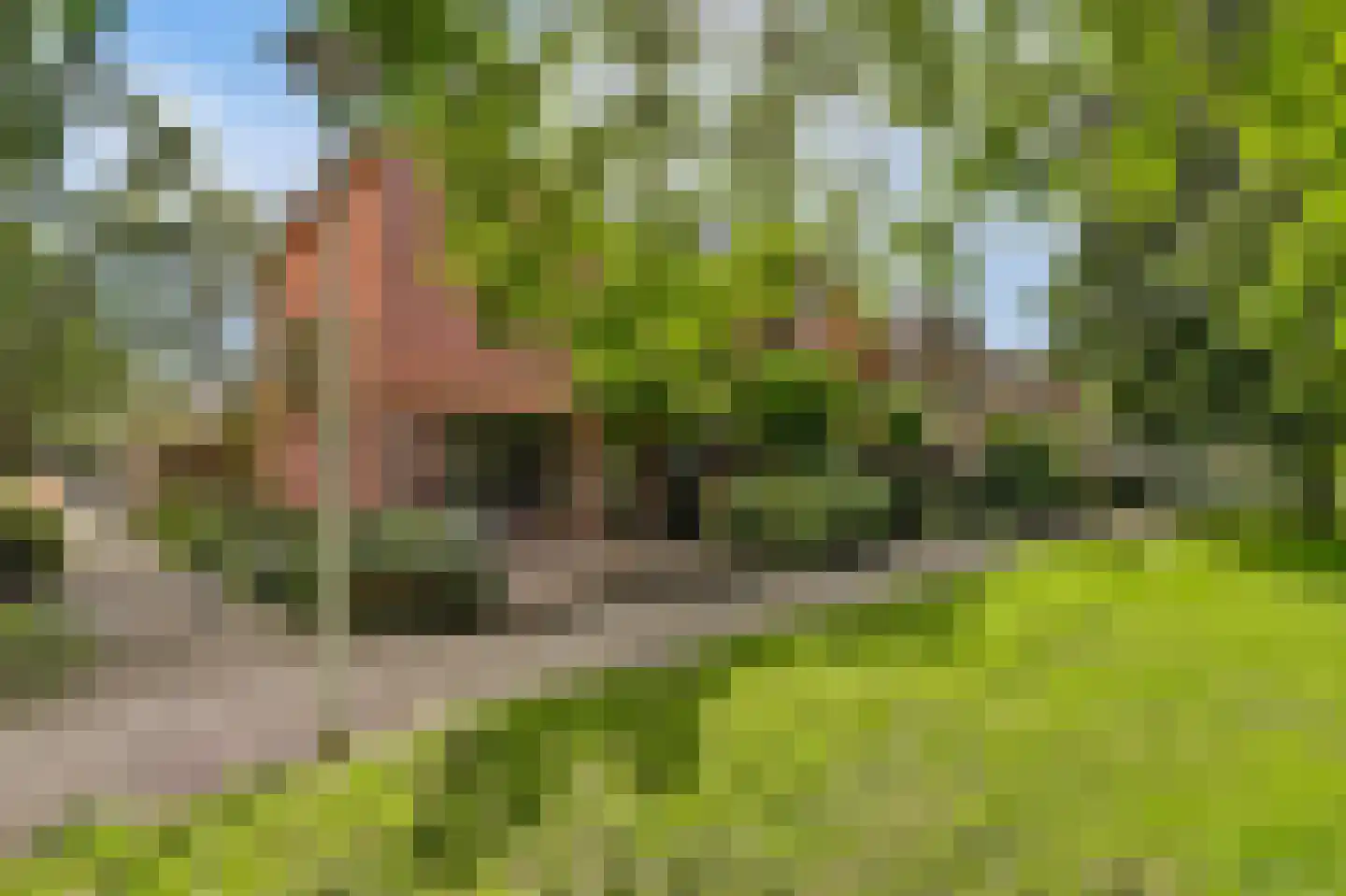 Alver 25 Bodegraven thumbnail 44