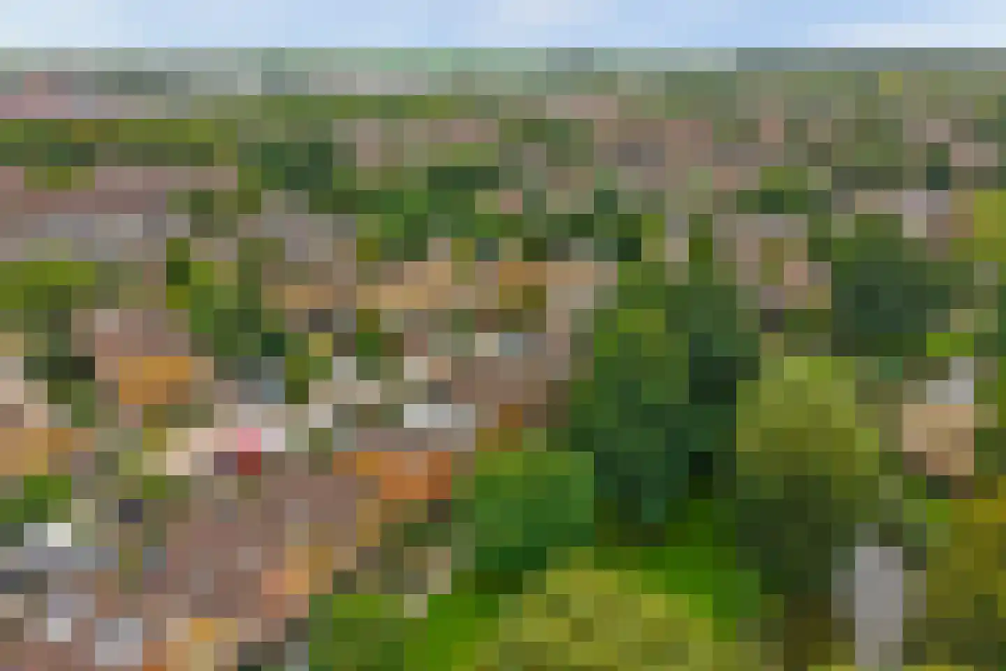 Alver 25 Bodegraven thumbnail 47