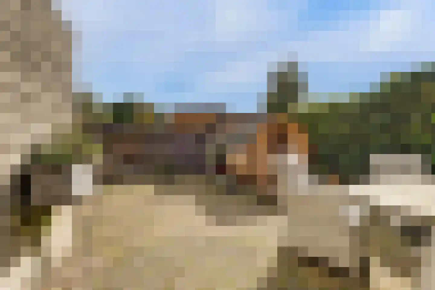 Alver 25 Bodegraven thumbnail 5