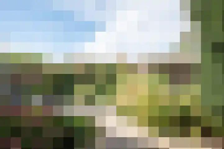 Alver 27 Avenhorn thumbnail 48