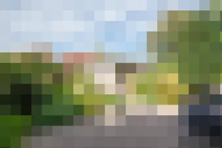 Alver 27 Avenhorn thumbnail 49