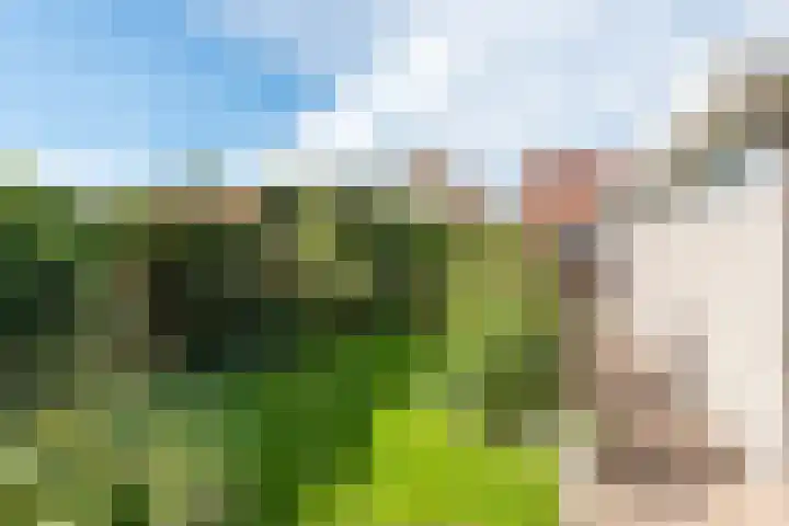 Alver 27 Avenhorn thumbnail 54