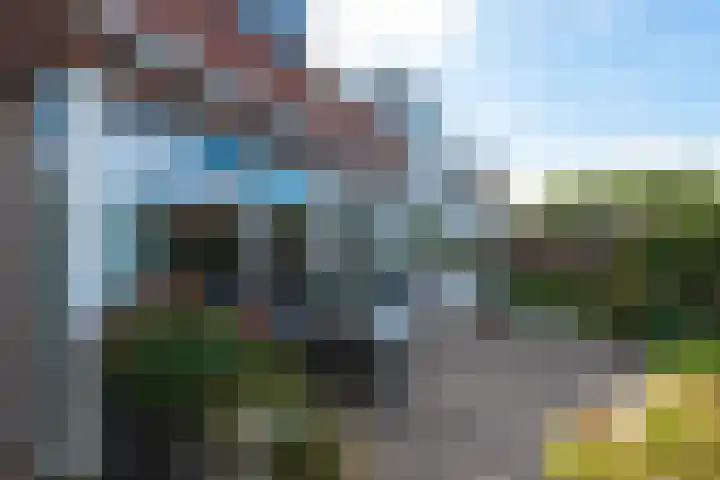 Alver 27 Avenhorn thumbnail 60