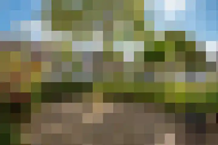 Alver 27 Avenhorn thumbnail 61