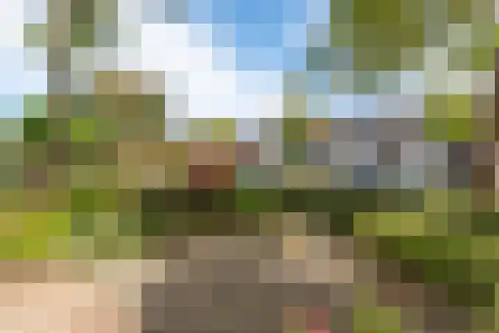 Alver 27 Avenhorn thumbnail 62